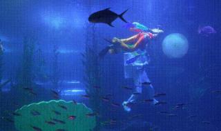 玉兔新年祝福语大全